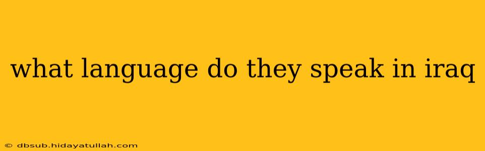 what language do they speak in iraq