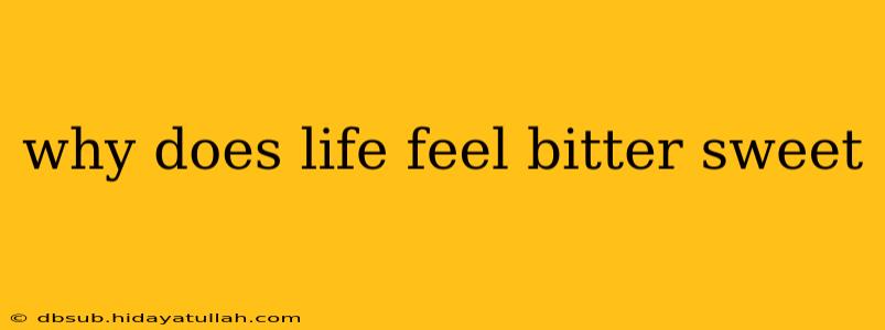 why does life feel bitter sweet